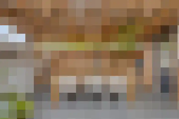 Erasmusdomein 17 Maastricht thumbnail 19