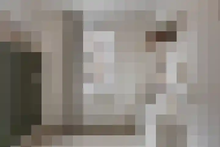 Erasmusdomein 17 Maastricht thumbnail 31
