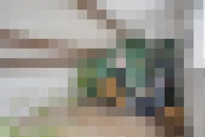 Erasmusdomein 17 Maastricht thumbnail 33