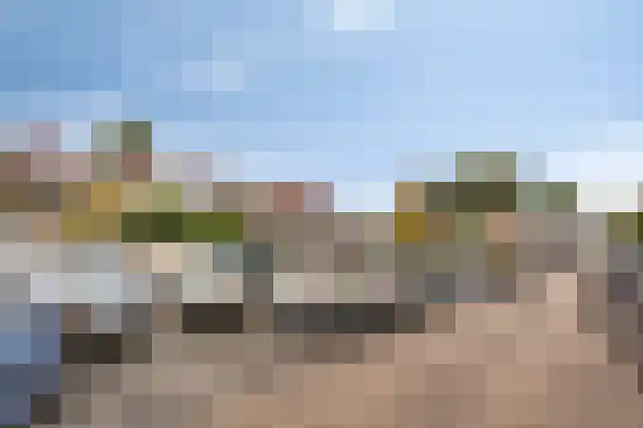 Erasmusdomein 17 Maastricht thumbnail 39