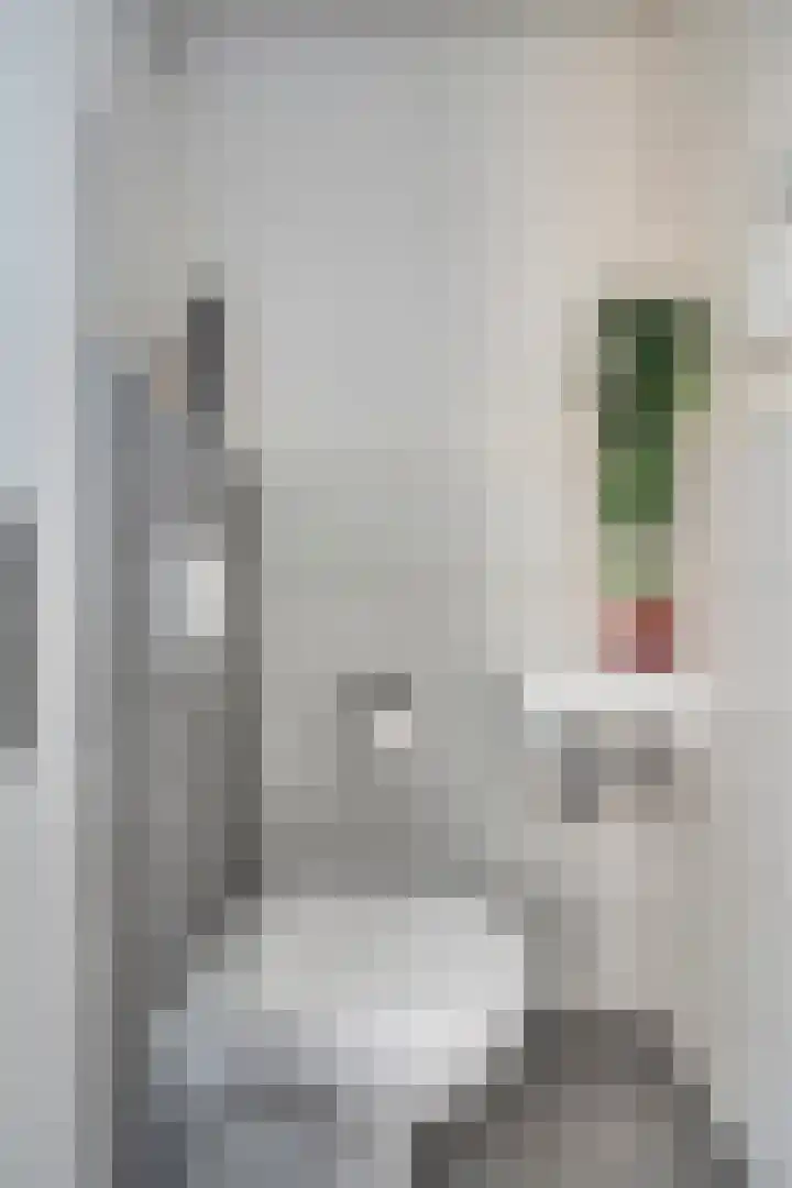 Erasmusdomein 17 Maastricht thumbnail 4