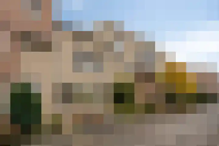 Erasmusdomein 17 Maastricht thumbnail 41