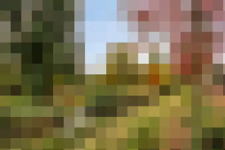 Erasmusdomein 17 Maastricht thumbnail 43