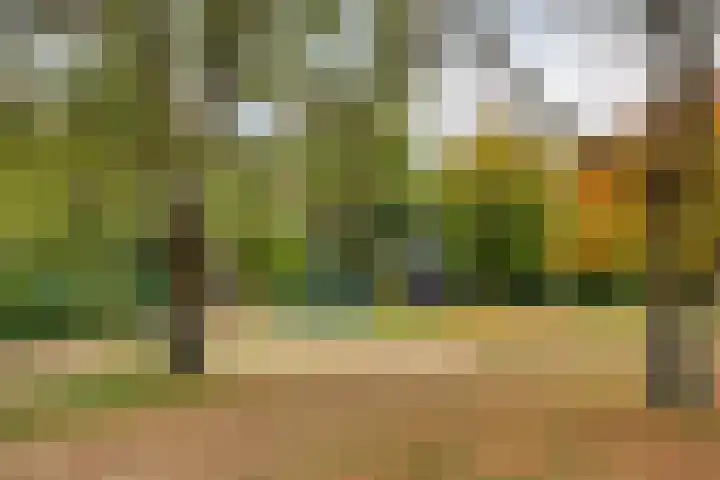 Erasmusdomein 17 Maastricht thumbnail 44