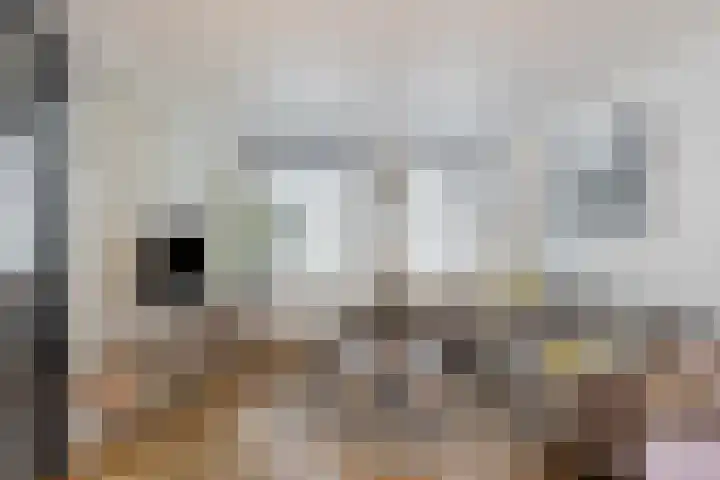Erasmusdomein 17 Maastricht thumbnail 5