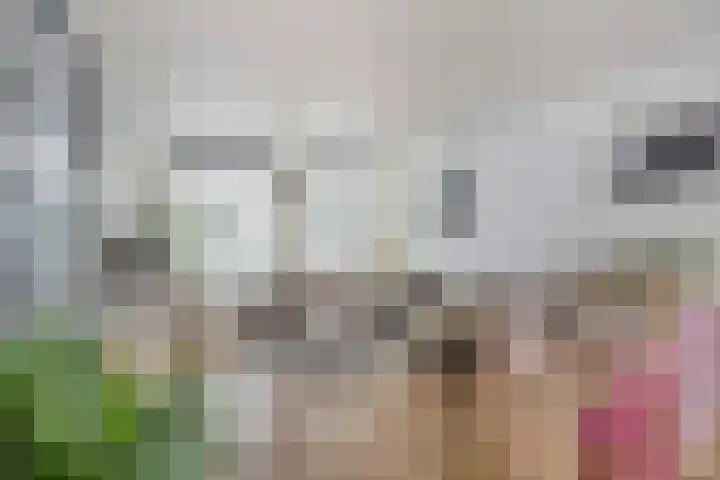 Erasmusdomein 17 Maastricht thumbnail 6