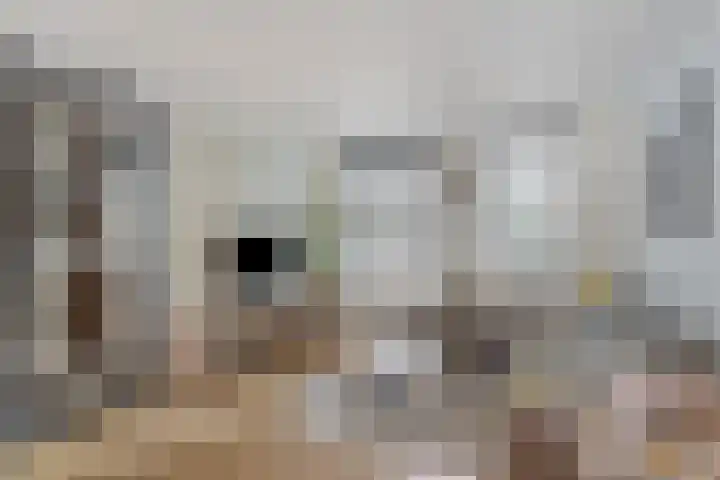 Erasmusdomein 17 Maastricht thumbnail 7
