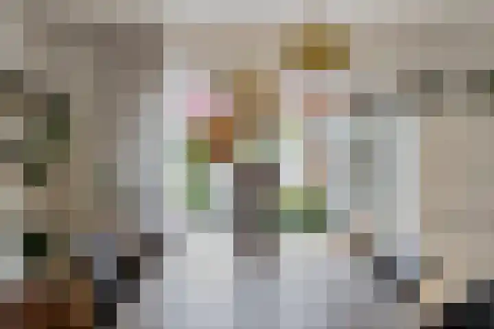 Erasmusdomein 17 Maastricht thumbnail 9