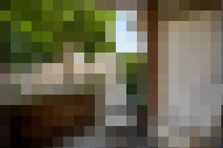 Erasmusdomein 2 B Maastricht thumbnail 16