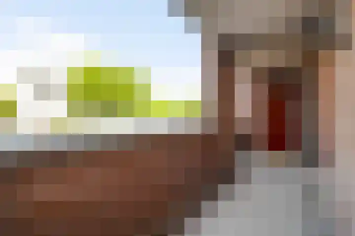 Erasmusdomein 2 B Maastricht thumbnail 19