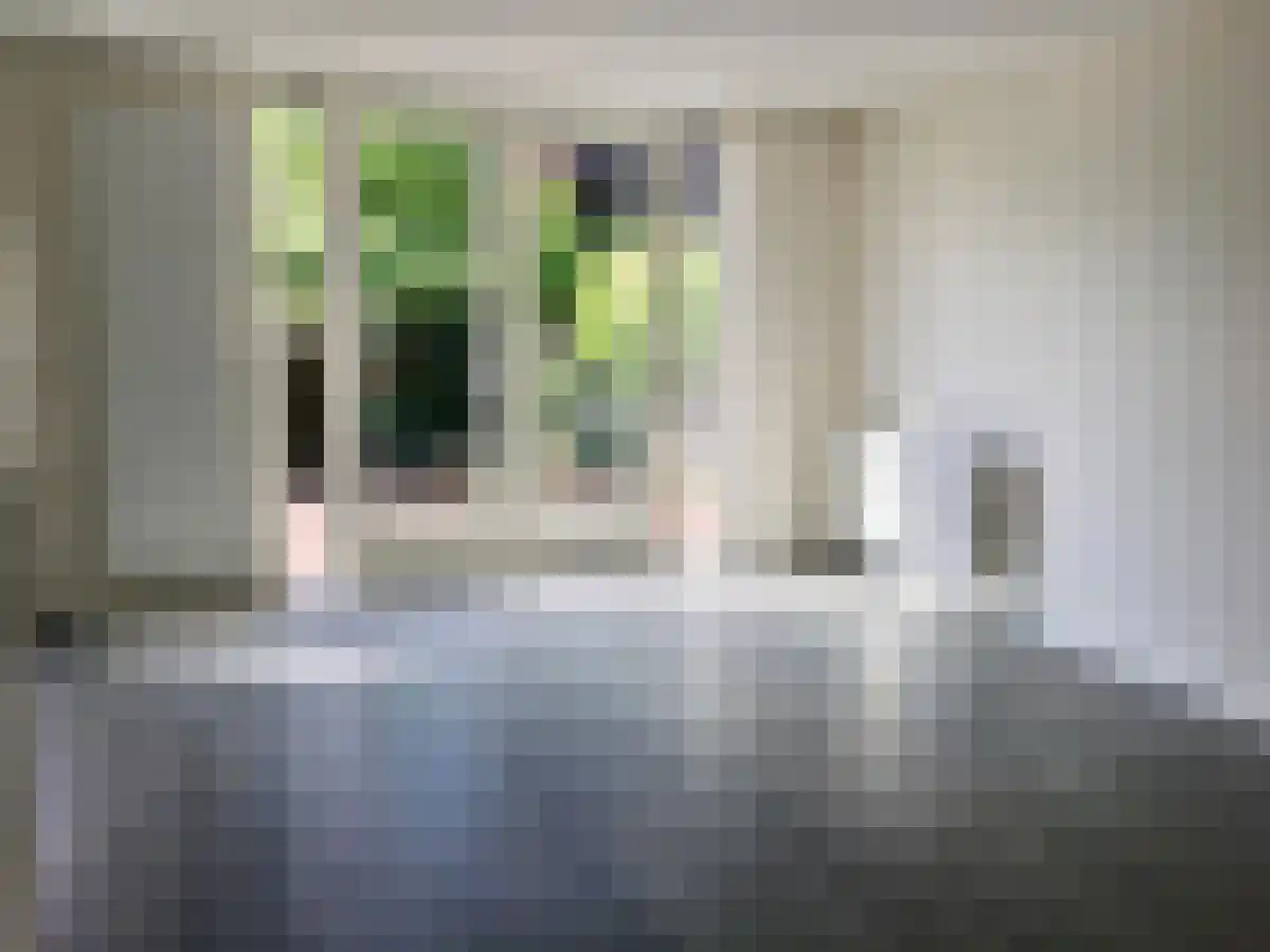 Erasmusdomein 23 Maastricht thumbnail 4