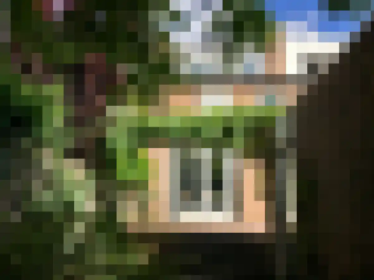 Erasmusdomein 23 Maastricht thumbnail 6