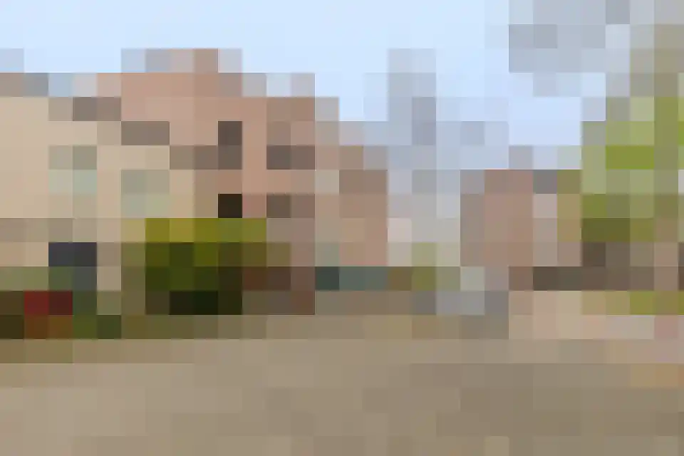 Erasmusdomein 33 A 02 Maastricht thumbnail 25