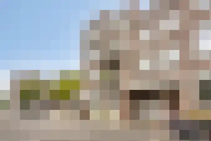 Erasmusdomein 34 C Maastricht thumbnail 16