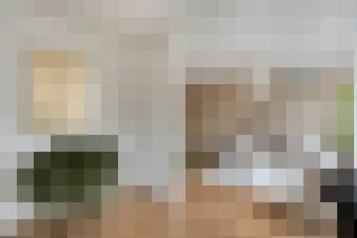 Erasmusdomein 34 C Maastricht thumbnail 4