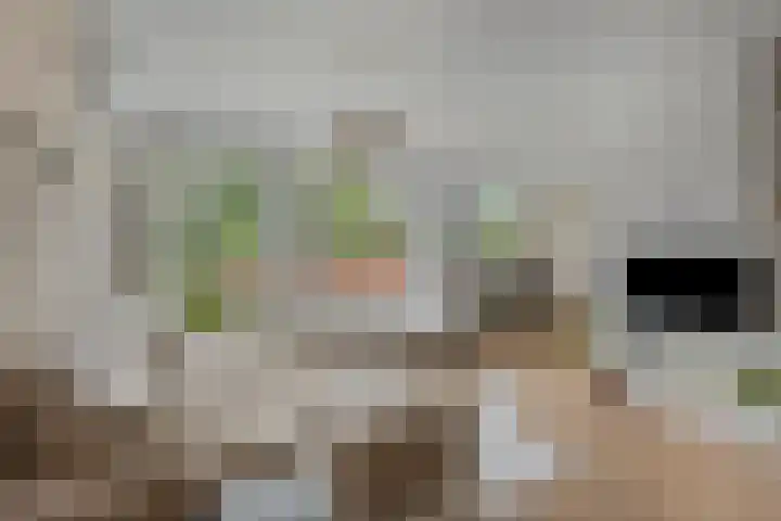 Erasmusdomein 34 C Maastricht thumbnail 7