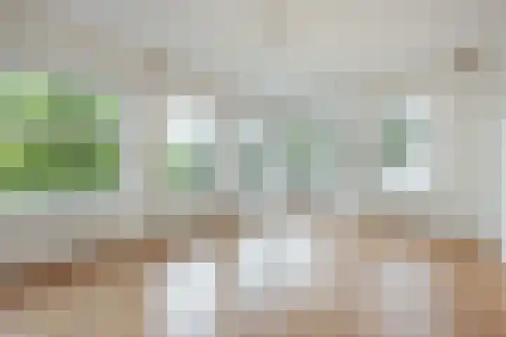 Erasmusgracht 23 3 Amsterdam thumbnail 39