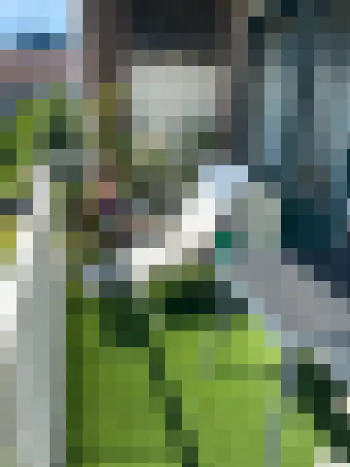 Erasmusgracht 43 3 Amsterdam thumbnail 21
