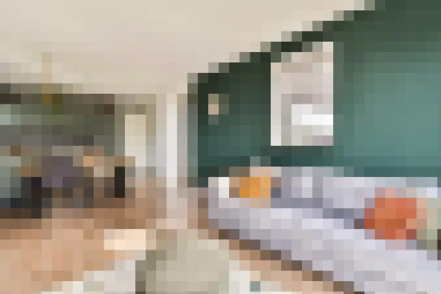 Erasmusgracht 524 Amsterdam thumbnail 6