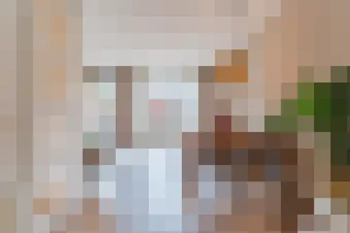Erasmushof 11 Berlicum thumbnail 11
