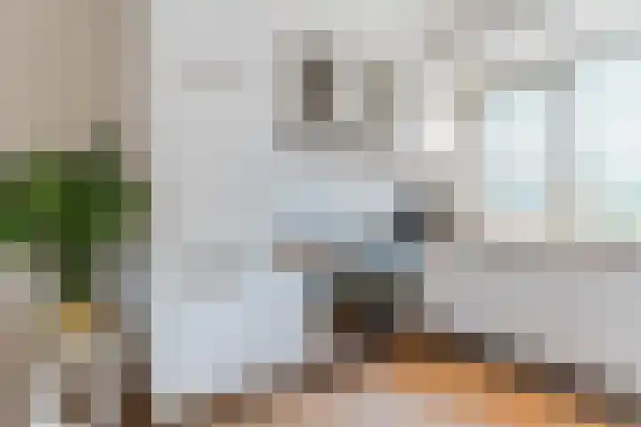 Erasmushof 11 Berlicum thumbnail 13