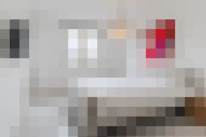Erasmushof 11 Berlicum thumbnail 15