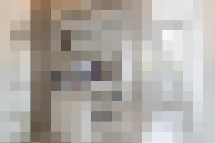 Erasmushof 11 Berlicum thumbnail 20