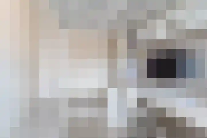 Erasmushof 11 Berlicum thumbnail 21