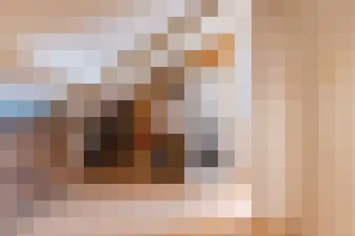 Erasmushof 11 Berlicum thumbnail 28