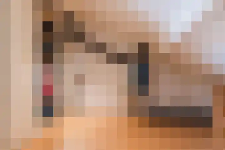 Erasmushof 11 Berlicum thumbnail 29