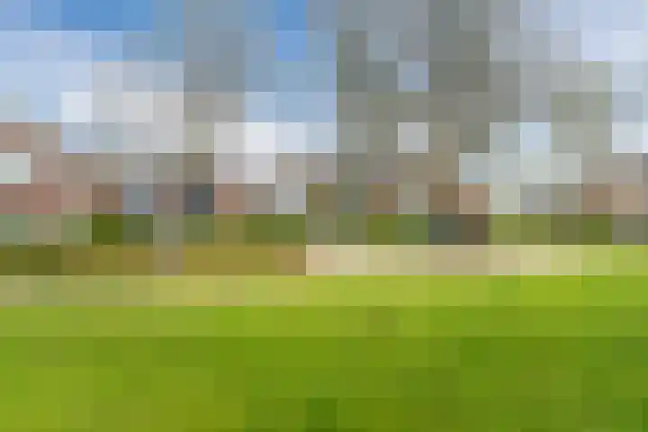 Erasmushof 11 Berlicum thumbnail 39
