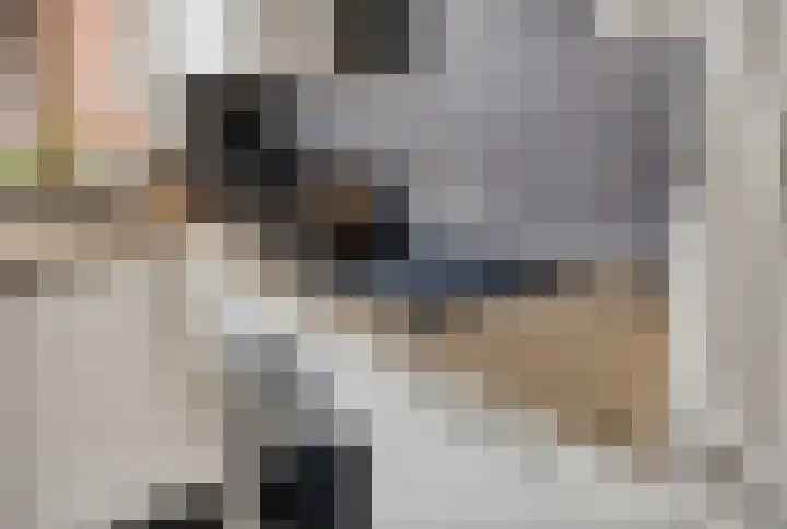 Erasmushof 11 Huizen thumbnail 10