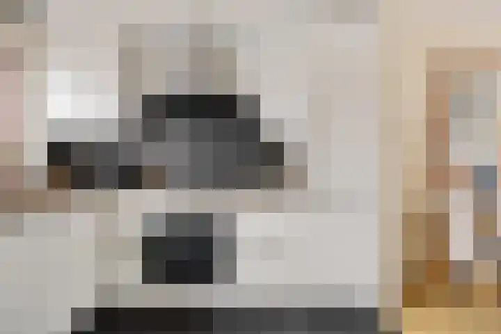 Erasmushof 11 Huizen thumbnail 11