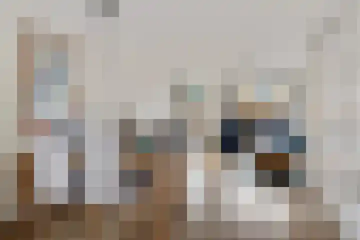 Erasmushof 11 Huizen thumbnail 13