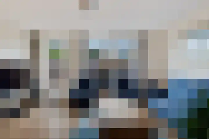 Erasmushof 11 Huizen thumbnail 15