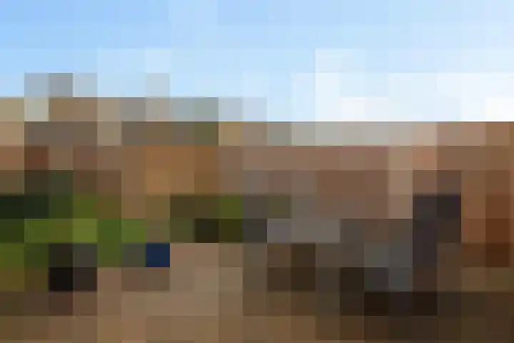 Erasmushof 11 Huizen thumbnail 16