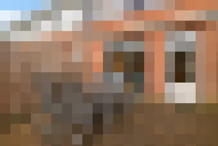 Erasmushof 11 Huizen thumbnail 18