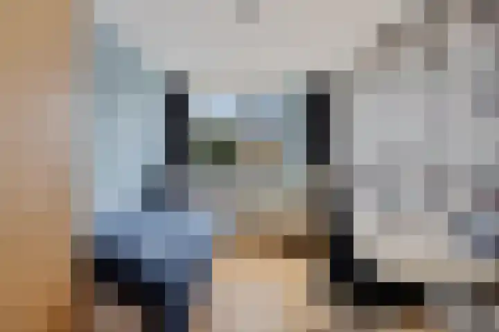 Erasmushof 11 Huizen thumbnail 25
