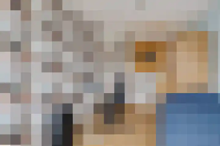 Erasmushof 11 Huizen thumbnail 26