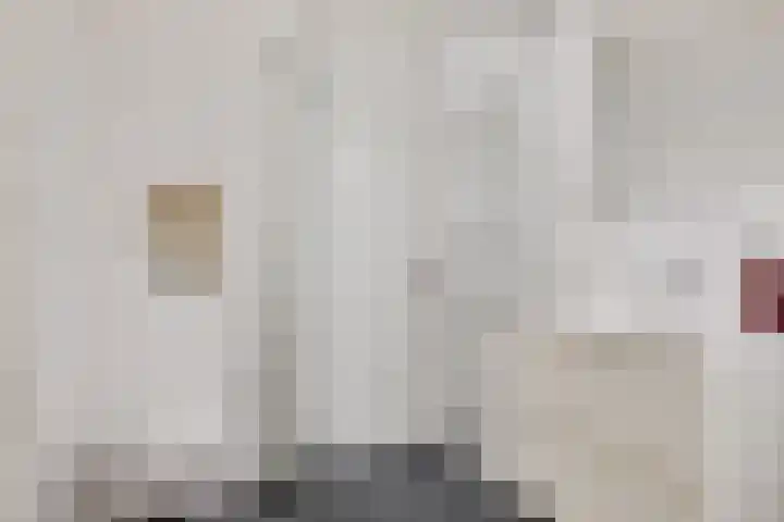 Erasmushof 11 Huizen thumbnail 29