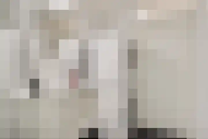 Erasmushof 11 Huizen thumbnail 30