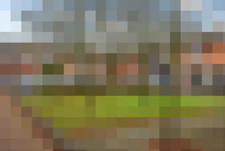 Erasmushof 11 Huizen thumbnail 34