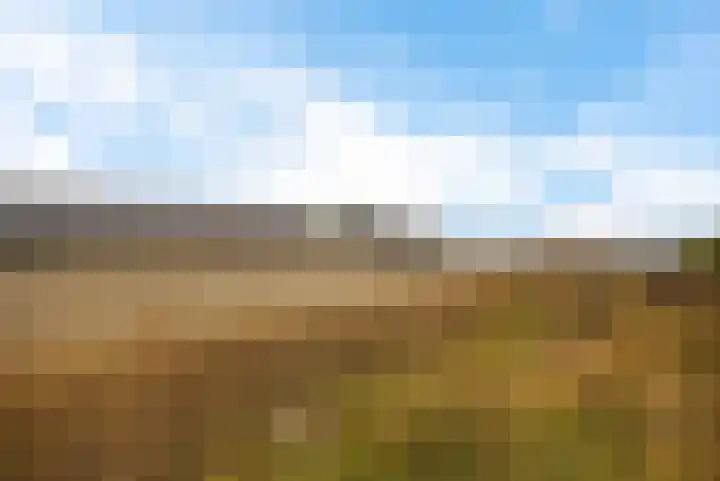 Erasmushof 11 Huizen thumbnail 35