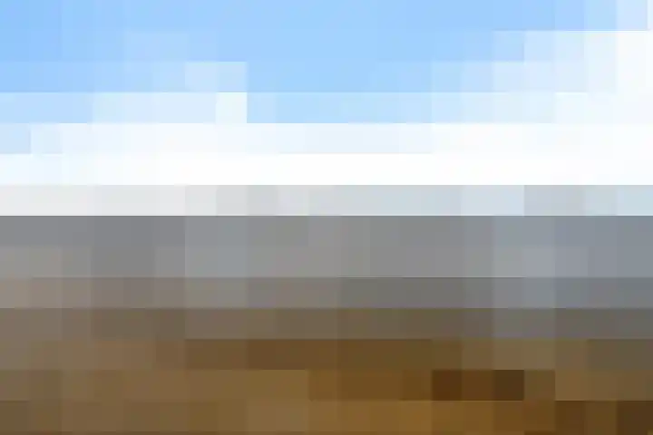 Erasmushof 11 Huizen thumbnail 36