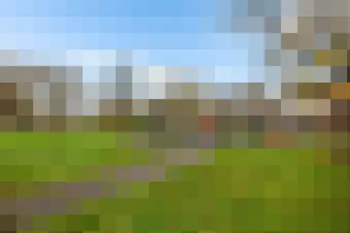 Erasmushof 11 Huizen thumbnail 37