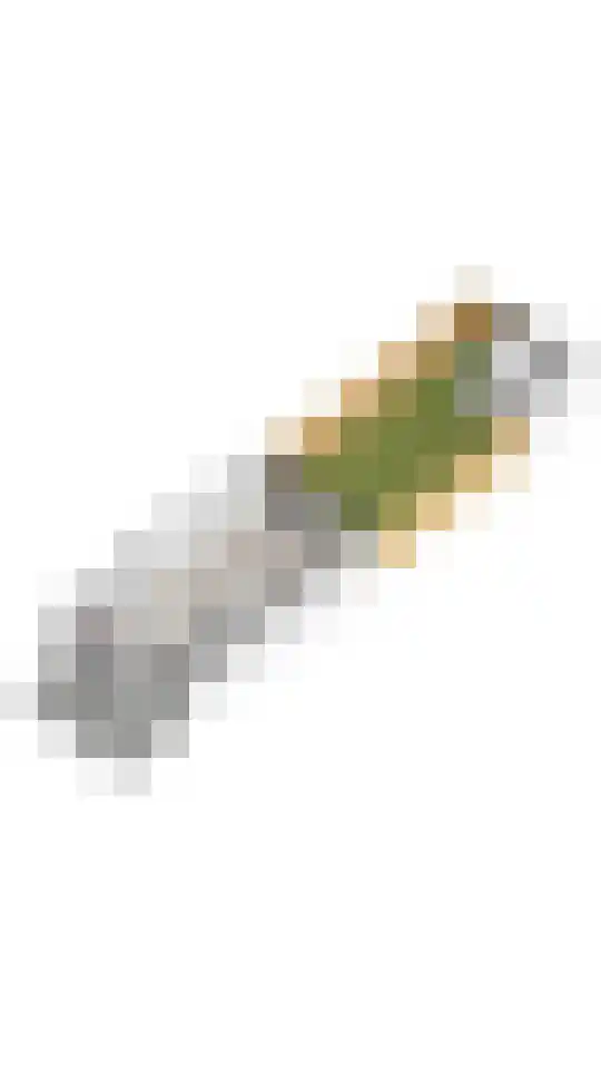 Erasmushof 11 Huizen thumbnail 42