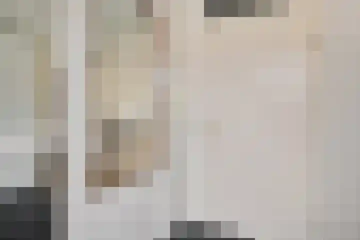 Erasmushof 11 Huizen thumbnail 5