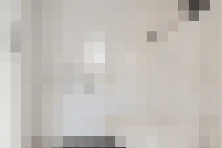 Erasmushof 11 Huizen thumbnail 6