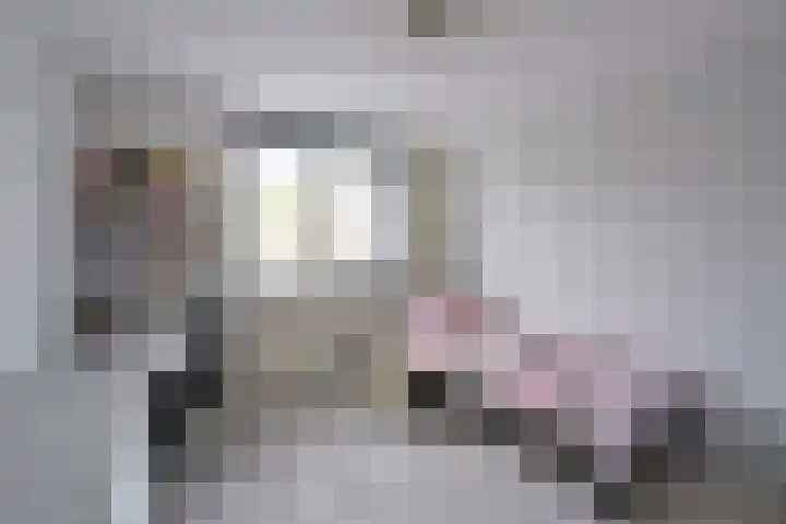 Erasmushof 24 Huizen thumbnail 10
