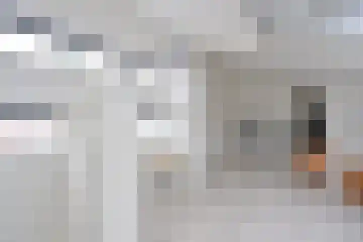 Erasmushof 24 Huizen thumbnail 11